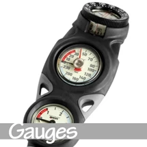 Gauges