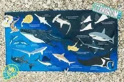 SEA BREEZE SHARKS TOWEL