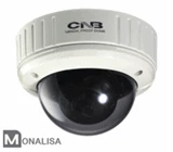 CNB-VBM-21S Dome Cam (600TVL)(3.8mm)