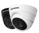 BAVONO BVN133 1.3 Megapixel IR IP Dome Camera