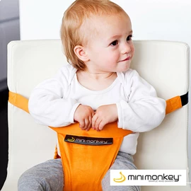 荷兰MiniMonkey 婴儿安全便携座椅