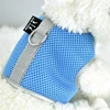 Crazy Paws Airmesh Harness (Blue)