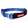 EZYDOG - Checkmate Dog Collar (L - Blue)