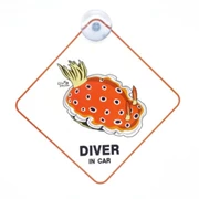 CAR SIGN DIVER IN CAR Nudibranch