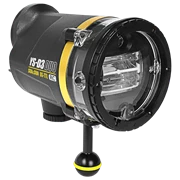 YS-D3 DUO Strobe - Gold