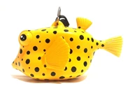 Oceanarium Box Fish Octopus Holder