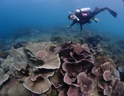 PADI Advanced Open Water Course