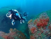 出海FUN DIVE包全裝備