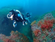 PADI Open Water Diver Course English Class
