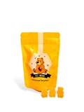 Hexapi - Honey Gummy Bee Bear (100g) 德国蜂蜜小熊软糖