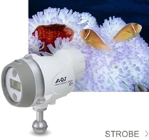 AOI Strobe and Light
