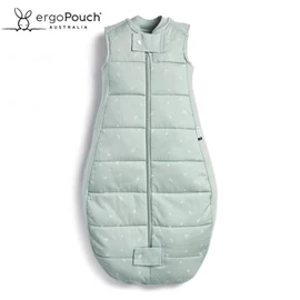 澳洲ergoPouch 有機棉防踢睡袋-2.5TOG 4-6歲