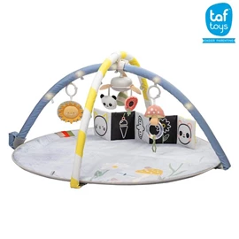 以色列TAF Toys 音樂遊戲墊/ 花舞樂園
