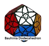 Bauhinia Dodecahedron Black Body 