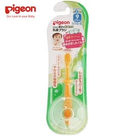 日本Pigeon 婴幼儿练习牙刷-第二阶段