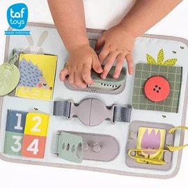 以色列TAF Toys 活動扣板玩具